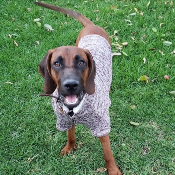 Meet your Posher, Mirian - Picture 1 of 1